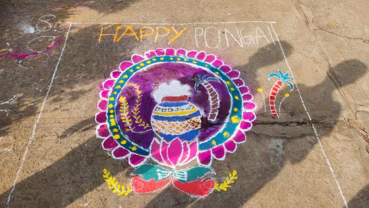 PONGAL CELEBRATIONS 2026